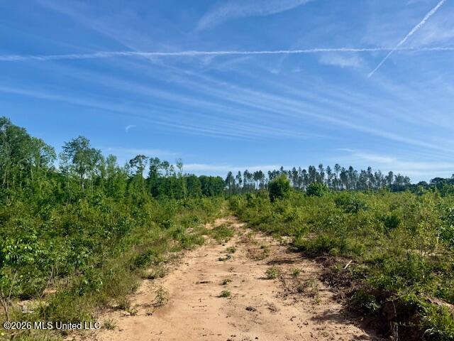 Rutland Road Jayess, MS 39641 - Photo 18 of 76 IMG_8281