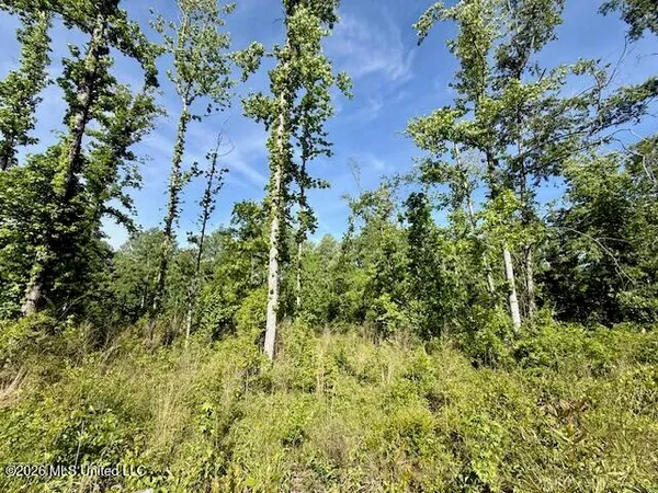 $888,750 | Rutland Road, Jayess, MS 39641