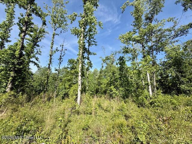 Rutland Road Jayess, MS 39641 - Photo 19 of 76 IMG_8282