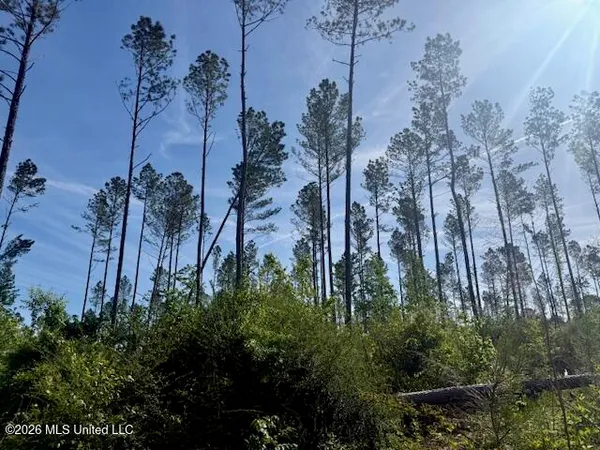 $888,750 | Rutland Road, Jayess, MS 39641