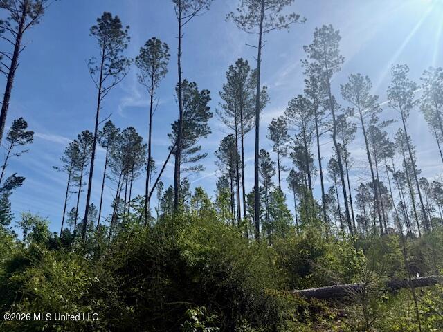 Rutland Road Jayess, MS 39641 - Photo 20 of 76 IMG_8283