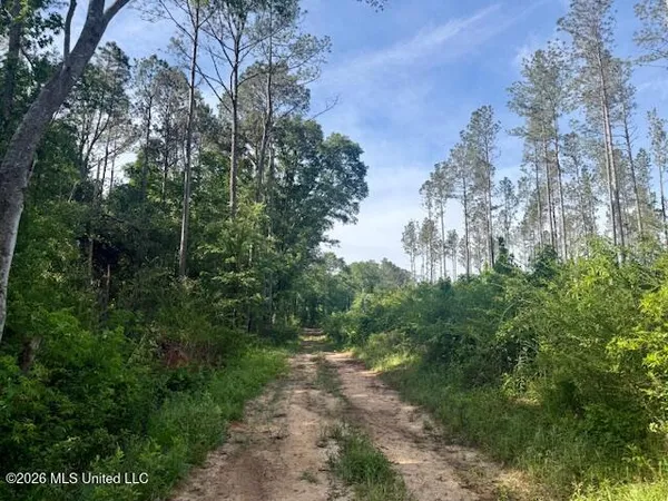 $888,750 | Rutland Road, Jayess, MS 39641