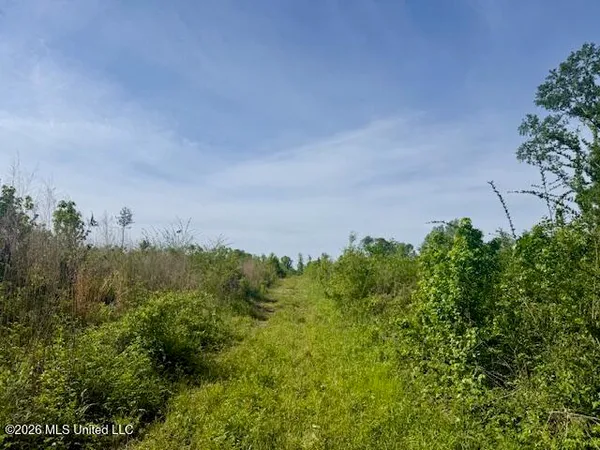 $888,750 | Rutland Road, Jayess, MS 39641