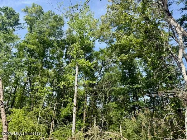 $888,750 | Rutland Road, Jayess, MS 39641