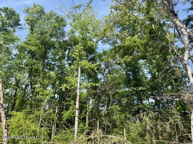 Rutland Road Jayess, MS 39641 - Photo 22 of 76 IMG_8285