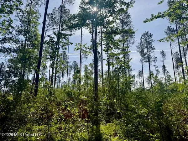 $888,750 | Rutland Road, Jayess, MS 39641