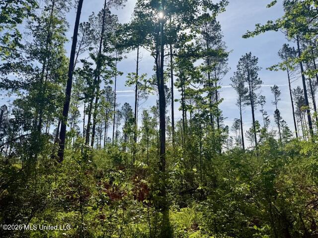 Rutland Road Jayess, MS 39641 - Photo 23 of 76 IMG_8286