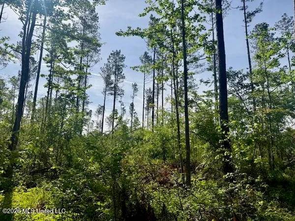 $888,750 | Rutland Road, Jayess, MS 39641