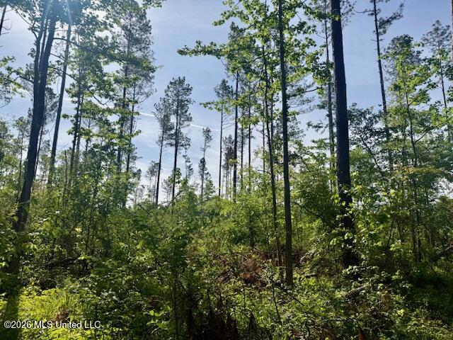 Rutland Road Jayess, MS 39641 - Photo 24 of 76 IMG_8287