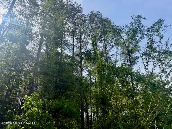 $888,750 | Rutland Road, Jayess, MS 39641