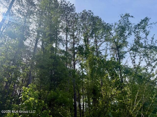 Rutland Road Jayess, MS 39641 - Photo 25 of 76 IMG_8288