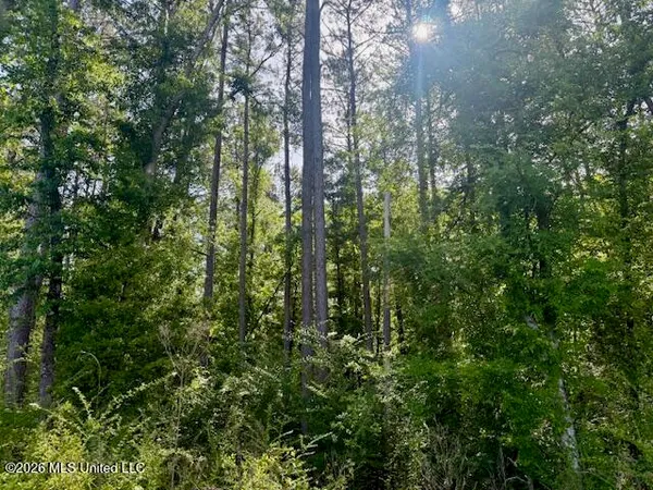 $888,750 | Rutland Road, Jayess, MS 39641