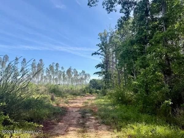 $888,750 | Rutland Road, Jayess, MS 39641
