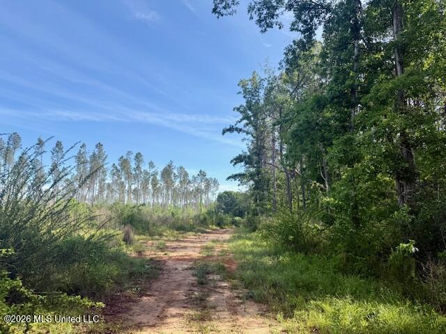 Rutland Road Jayess, MS 39641 - Photo 27 of 76 IMG_8290