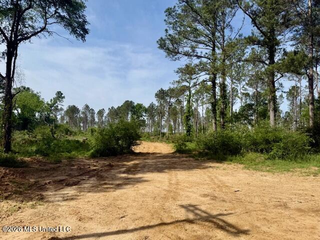 Rutland Road Jayess, MS 39641 - Photo 30 of 76 IMG_8326