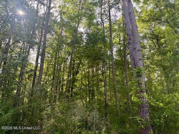 $888,750 | Rutland Road, Jayess, MS 39641