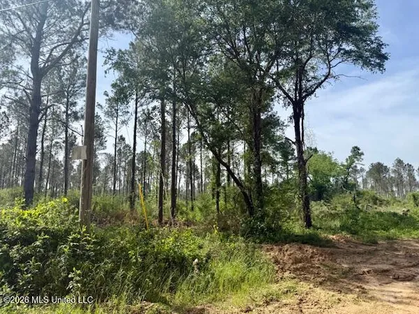 $888,750 | Rutland Road, Jayess, MS 39641