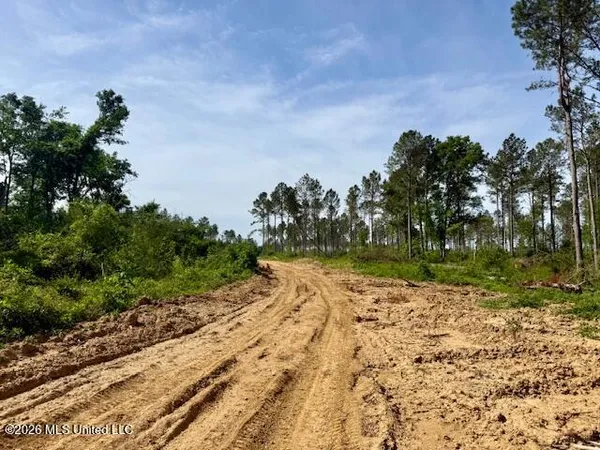 $888,750 | Rutland Road, Jayess, MS 39641