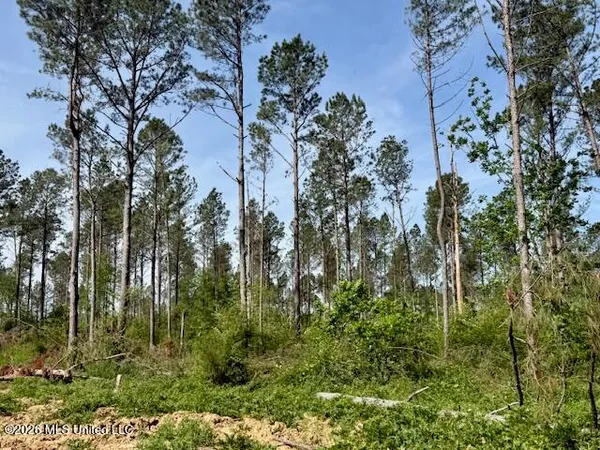 $888,750 | Rutland Road, Jayess, MS 39641