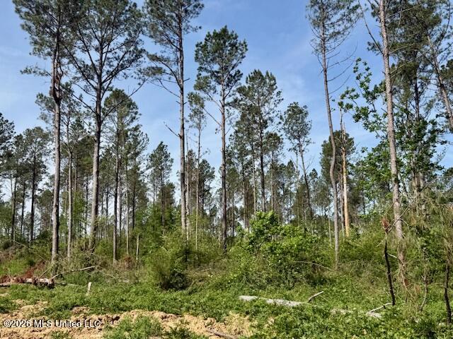 Rutland Road Jayess, MS 39641 - Photo 33 of 76 IMG_8329