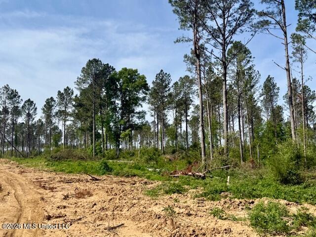 Rutland Road Jayess, MS 39641 - Photo 34 of 76 IMG_8330