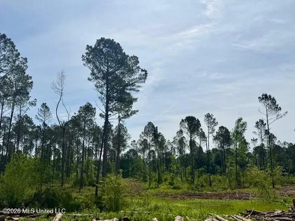 $888,750 | Rutland Road, Jayess, MS 39641