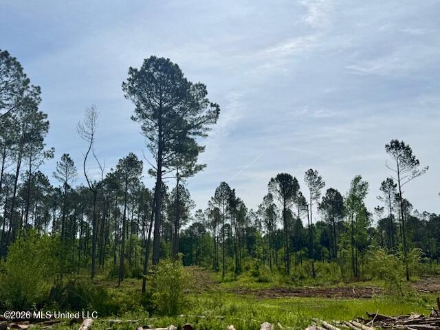 Rutland Road Jayess, MS 39641 - Photo 35 of 76 IMG_8331