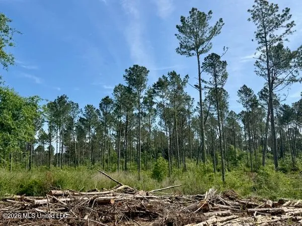 $888,750 | Rutland Road, Jayess, MS 39641