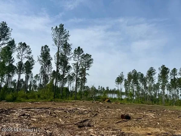 $888,750 | Rutland Road, Jayess, MS 39641