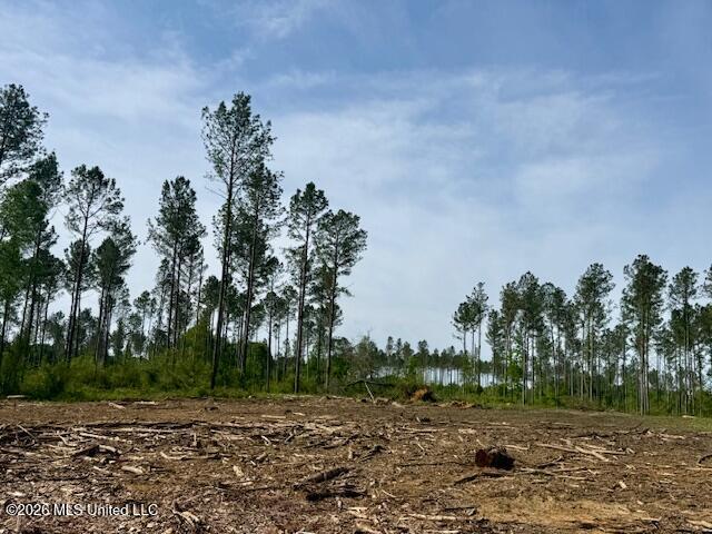 Rutland Road Jayess, MS 39641 - Photo 37 of 76 IMG_8333
