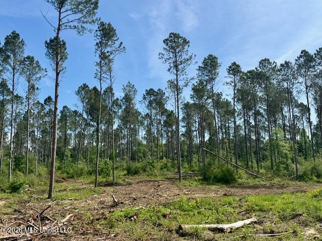 Rutland Road Jayess, MS 39641 - Photo 38 of 76 IMG_8334