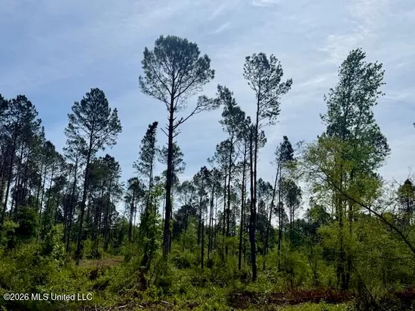 $888,750 | Rutland Road, Jayess, MS 39641