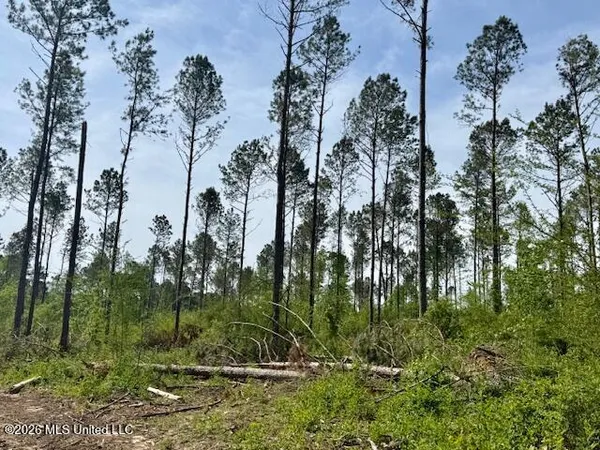 $888,750 | Rutland Road, Jayess, MS 39641