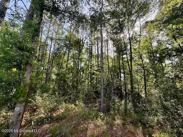 $888,750 | Rutland Road, Jayess, MS 39641