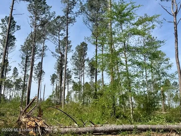 $888,750 | Rutland Road, Jayess, MS 39641