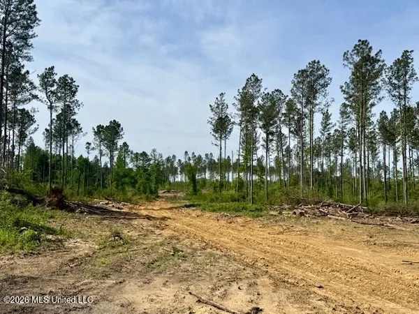 $888,750 | Rutland Road, Jayess, MS 39641