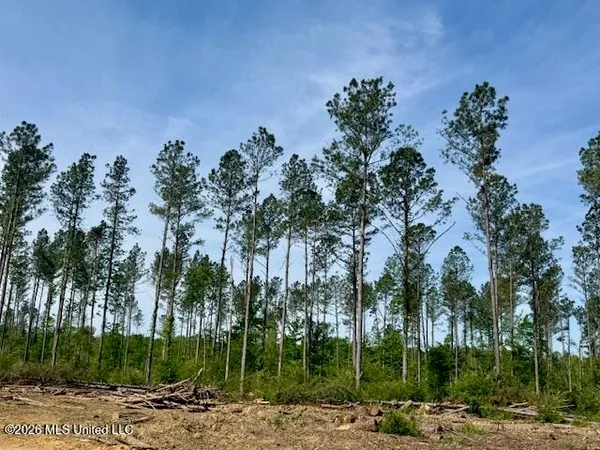 $888,750 | Rutland Road, Jayess, MS 39641