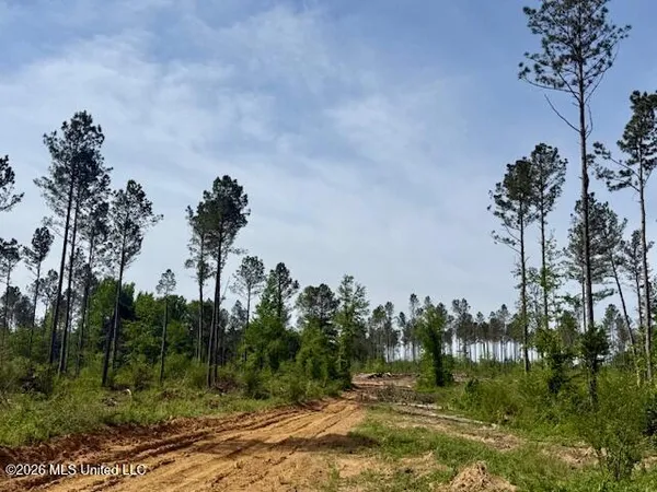 $888,750 | Rutland Road, Jayess, MS 39641