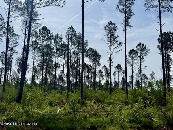 $888,750 | Rutland Road, Jayess, MS 39641
