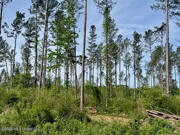 $888,750 | Rutland Road, Jayess, MS 39641