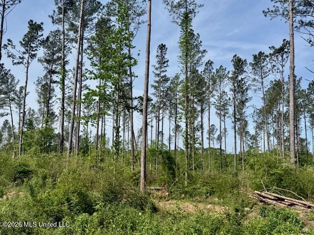 Rutland Road Jayess, MS 39641 - Photo 46 of 76 IMG_8342