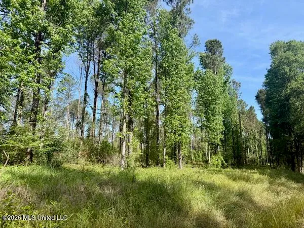 $888,750 | Rutland Road, Jayess, MS 39641