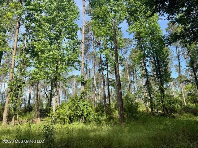 Rutland Road Jayess, MS 39641 - Photo 50 of 76 IMG_8313