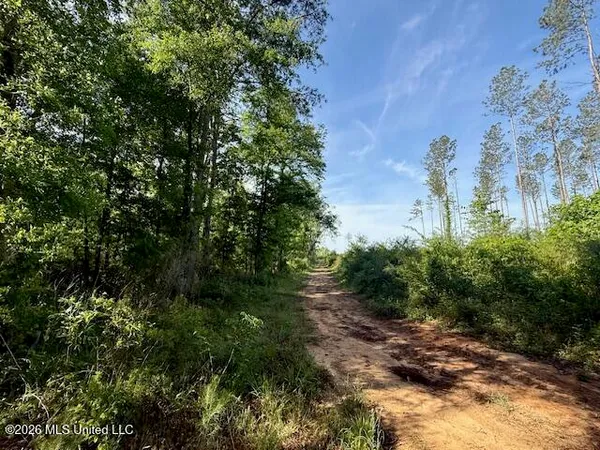 $888,750 | Rutland Road, Jayess, MS 39641