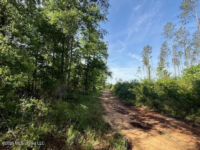 Rutland Road Jayess, MS 39641 - Photo 5 of 76 IMG_8268