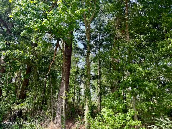 $888,750 | Rutland Road, Jayess, MS 39641