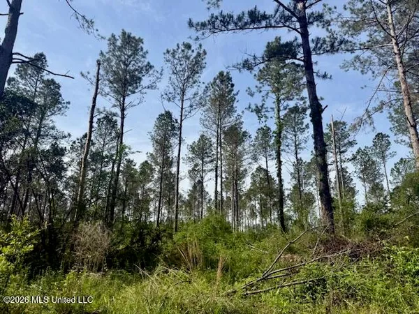 $888,750 | Rutland Road, Jayess, MS 39641
