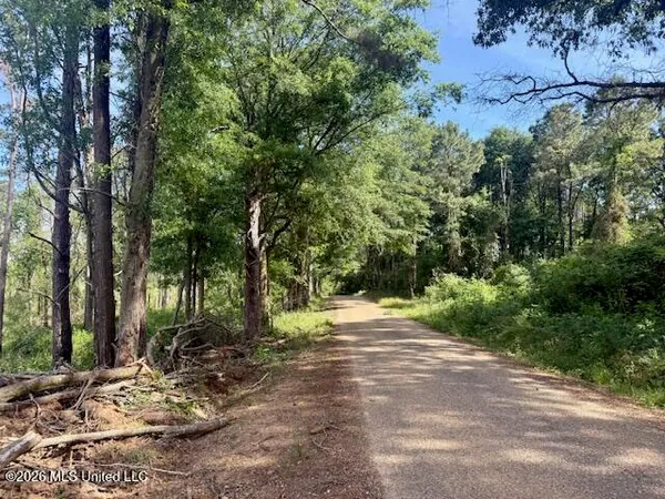 $888,750 | Rutland Road, Jayess, MS 39641