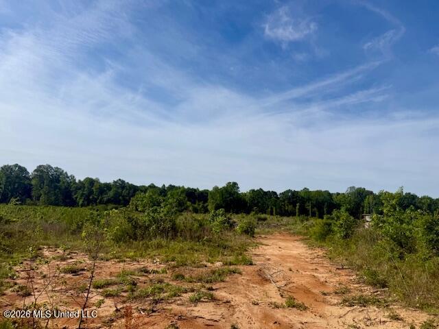 Rutland Road Jayess, MS 39641 - Photo 6 of 76 IMG_8269