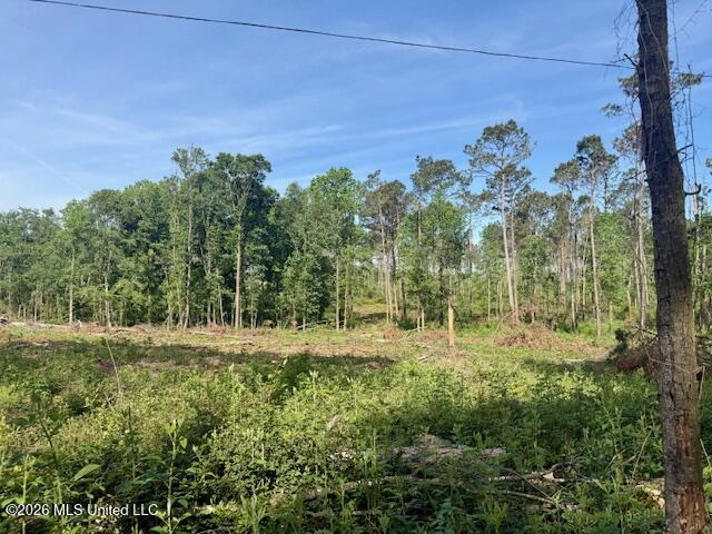 Rutland Road Jayess, MS 39641 - Photo 61 of 76 IMG_8298